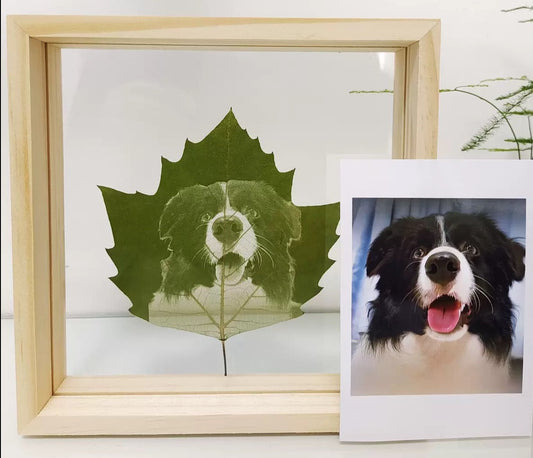 Leafy Likeness – the Momo & Sasa Custom Pet Leaf Carving Art