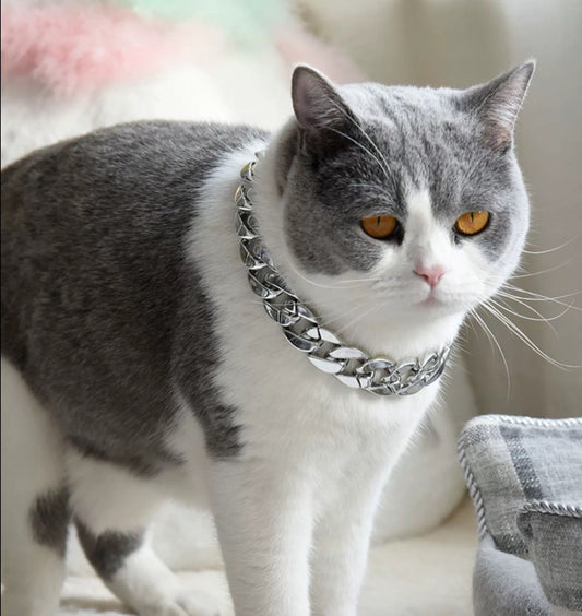 Glittering Gait - Momo & Sasa Special Selection - Pet Chain Necklace