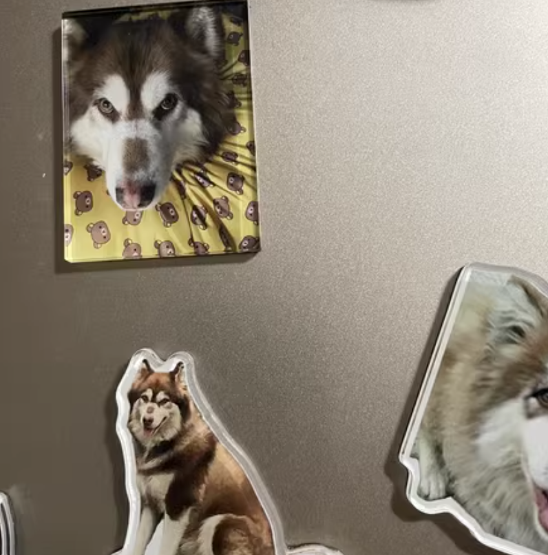 Fridge Furries - Momo & Sasa Custom Pet Magnet