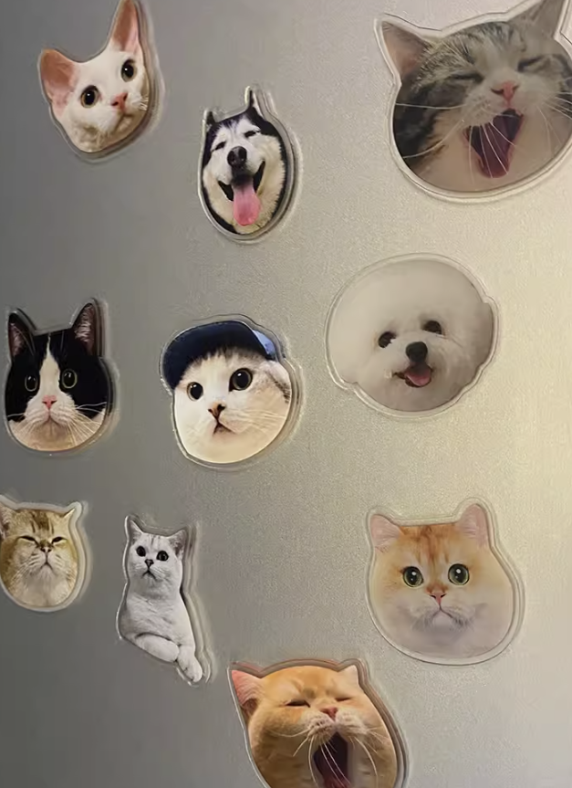 Fridge Furries - Momo & Sasa Custom Pet Magnet